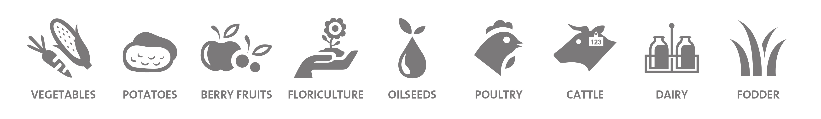 new AGRO-PROCESSING - East London IDZ SOC Ltd